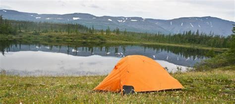 Озеро Таймыр: где находится, описание, история