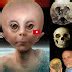 Ancient Humans Had Sex With Aliens Study Says Brainexplor