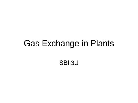 Gas Exchange In Plants