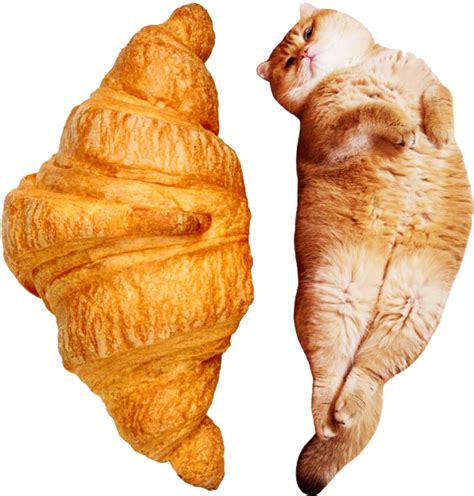 Download Croissant Cat Mirrored Symmetry