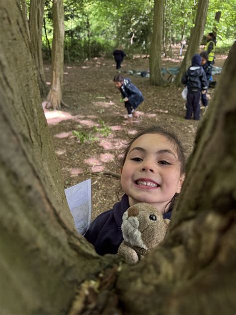 If You Go Down to the Woods Today… | Queen's College Telegram