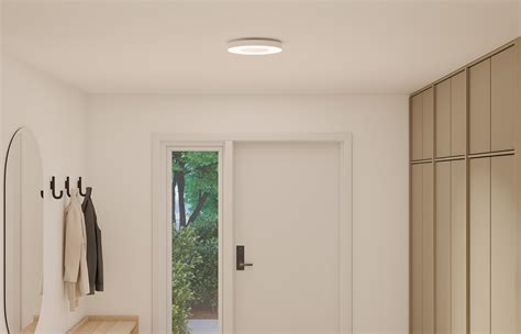 Ceiling Luminaire CCL 01