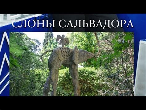 Символ судьбы или убийцы на паучьих ножках? - YouTube