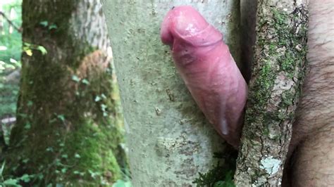 Masturbation Outside With A Tree And Big Cumshot No Hands Gay Voyeur Man Porn XHamster
