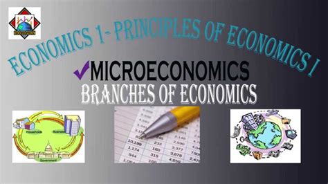 Branches Of Economics Youtube