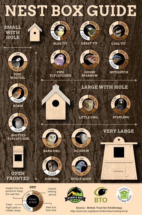 Where To Site Nest Boxes