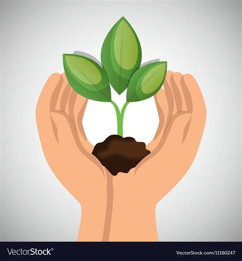 Hands Holding Plant Green Concept Ecological Vector Image On