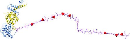 Figure 1 from Visualizing kinetochore architecture. | Semantic Scholar