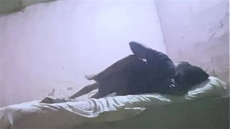 Black Gay Thug Fuck Search XVIDEOS