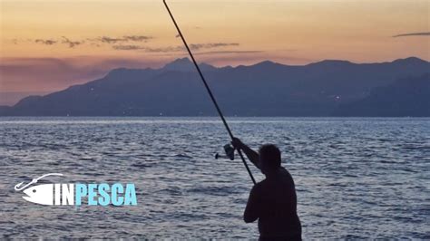 Pesca A Fondo E Col Vivo Al Pesce Serra Light Jigging In Foce Alla