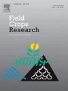 field crops research agronomy