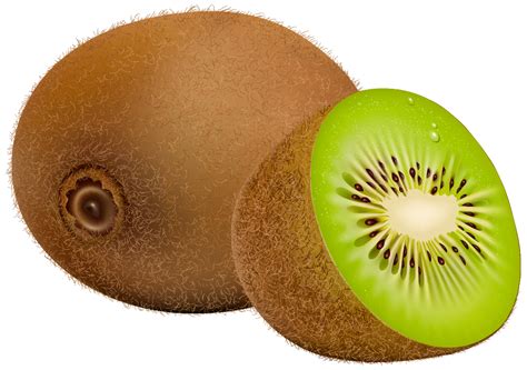 Kiwi Fruit Clipart Clipground