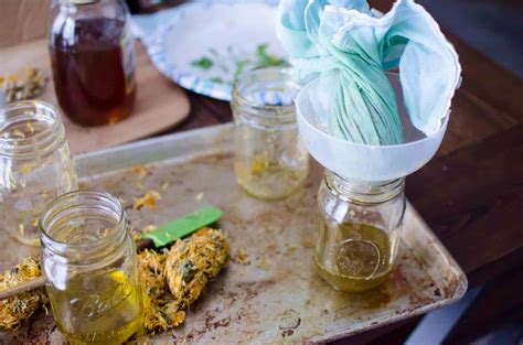 How To Make Herbal Infused Oil For Salves And Herb Products Amy K Fewell