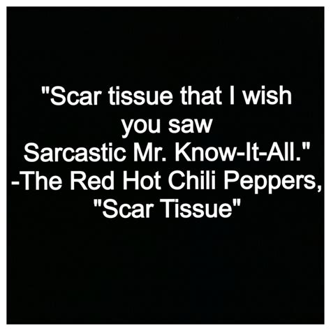 Red Hot Chili Peppers Scar Tissue Lyrics