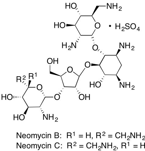 Neomycin Sulfate - LKT Labs