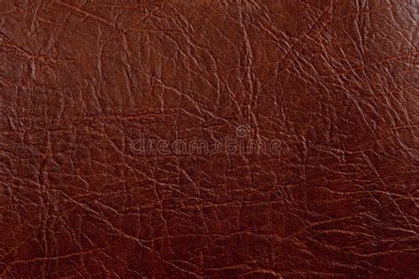 коричневая текстура кожи крупного плана Стоковое Фото - изображение ...