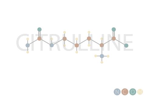 Citrulline Molecular Skeletal Chemical Formula 43225415 Vector Art At Vecteezy