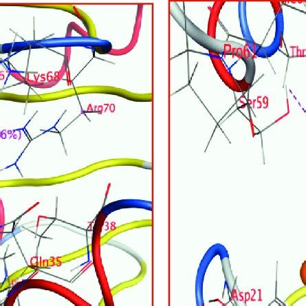 D Binding Mode And Residues Involved In The Recognition Of A