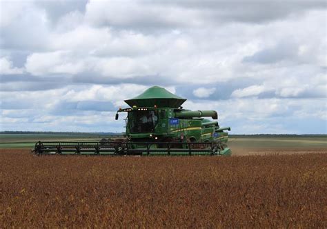 Colheita Da Soja Chega A Da Rea Cultivada Em Goi S E Plantio Do