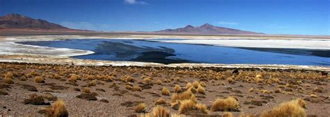 Calama Turismo Información Turística Sobre Calama Chile Tripadvisor