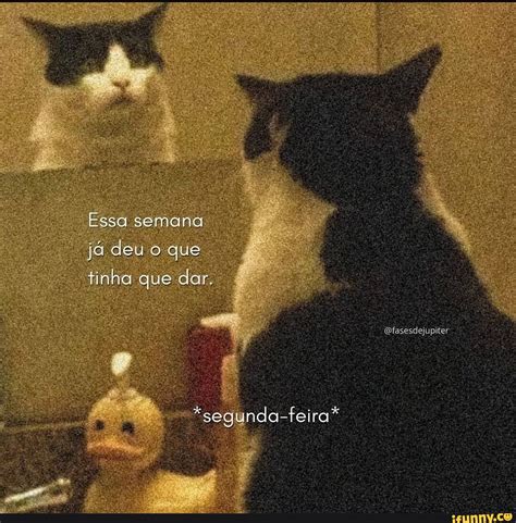 Essa Semana Jadeuo Que Tinna Que Dar Segunda Feira IFunny Brazil