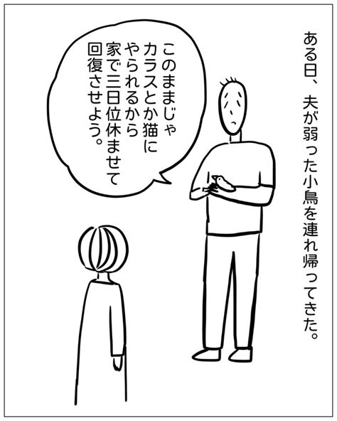 【あぴママの本音】自分の好きなことがわからない理由│あぴママびより