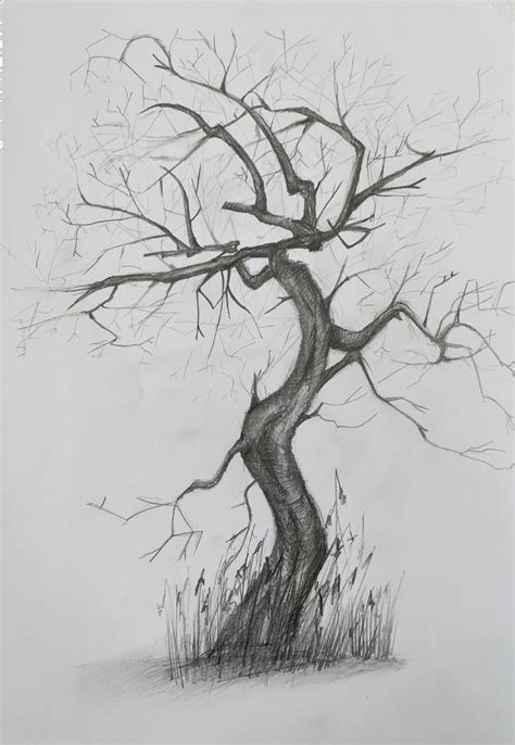 Fine Art Tree Pencil Drawing, Handmade Original Sketch, Realistic Nature Scene, Perfect for Wall ...