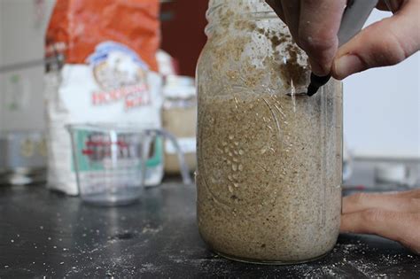 Sourdough For Science Students Discover