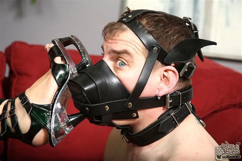 Inked Blonde Leya Falcon Assfucked In Front Of Her Cuckboy Porn Pictures XXX Photos Sex Images