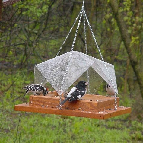 Diy Platform Bird Feeder Birdcage Design Ideas