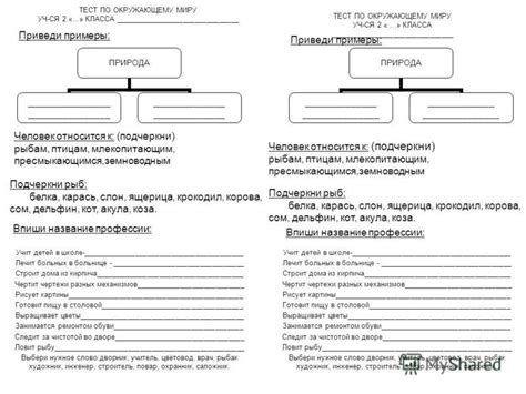Тест Контрольной Работы – Telegraph