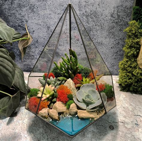 Флорариум с суккулентами "Капля с озером"