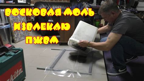 Проект: восковая моль. Изъятие ПЖВМ. - YouTube