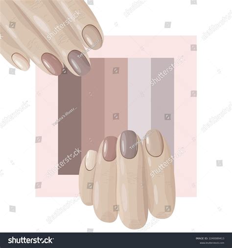 Hands Holding Swatch Nude Shades Manicure Stock Vector Royalty Free Shutterstock