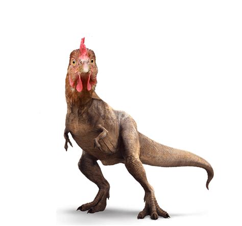Chicken T Rex Dinosaur Png By Brent4861 On Deviantart