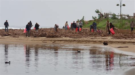 Zapallar Realizan Exitosa Jornada De Limpieza En El Humedal La Laguna