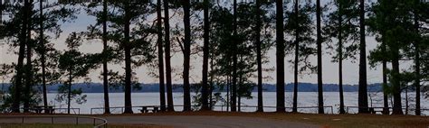 Lake O The Pines Online Guide Cabins Homes Marinas Fishing And More