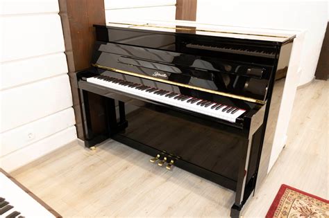 RitmüllerRC110Schwarz - KLAVIERLOFT