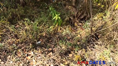 Blonde Amateur Public Sex And Facial By The River