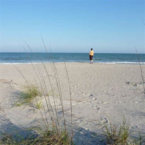 Edisto Beach State Park Camping Camping | The Dyrt