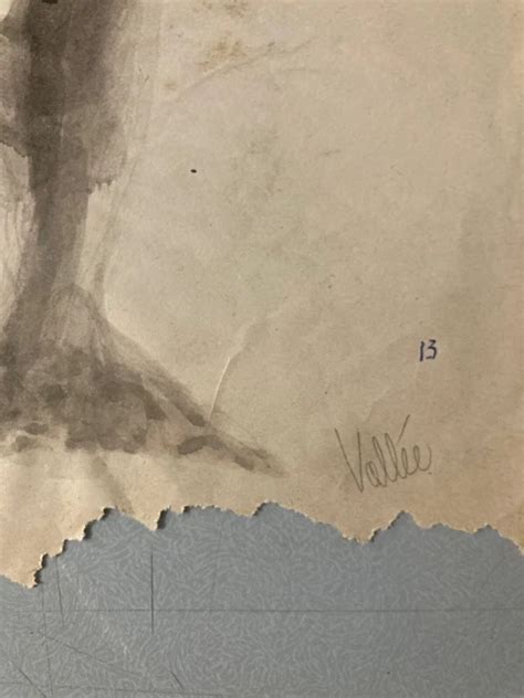 Very Nice Drawing Lavis Ink Naked Woman Standing Bare Back Erotic A Picclick Au