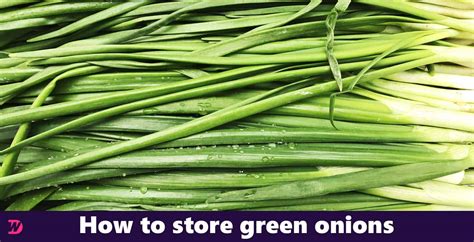 How To Store Green Onions The Ultimate Guide To Storing Green Onions