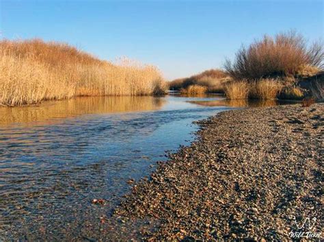 Pavlodar (Pavlodar region) » WildTicket Asia - Tourist Service in ...