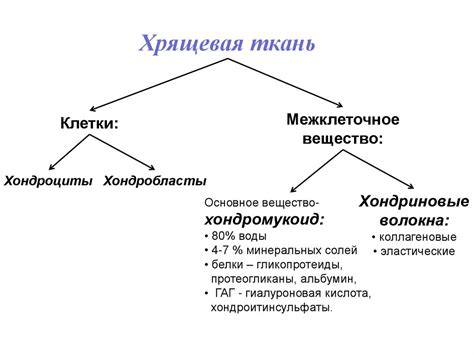 Хрящевая ткань - презентация онлайн
