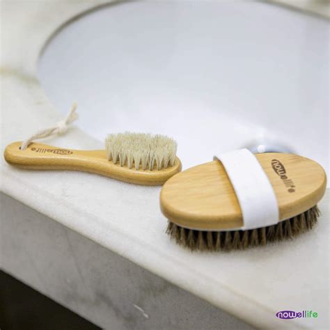 dry brush for the face 3