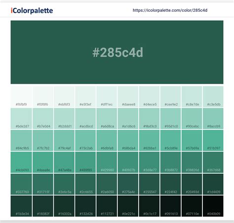 Pantone 626 C Color | Hex color Code #285C4D information | Hsl | Rgb ...