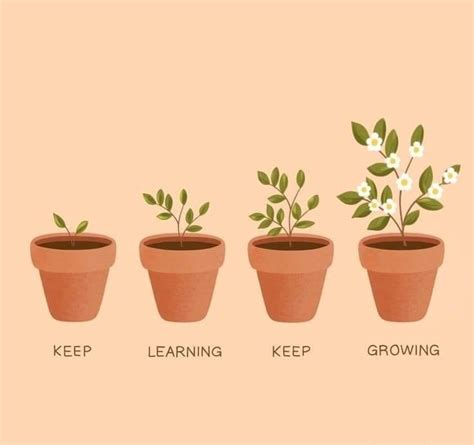 The Herbalist Garden Hello What Is A Good Herb For Calcification In