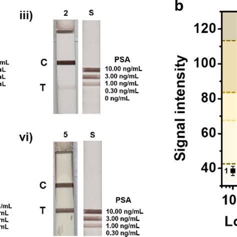 Synthesis Of Sio2auag Nps A Synthesis Procedure For Sio2auag Nps