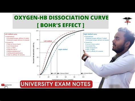 Oxygen Hemoglobin Dissociation Curve Bohr S Effect Respiratory