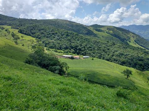 Fazenda S Tio M Em Zona Rural Em Alagoa Por R